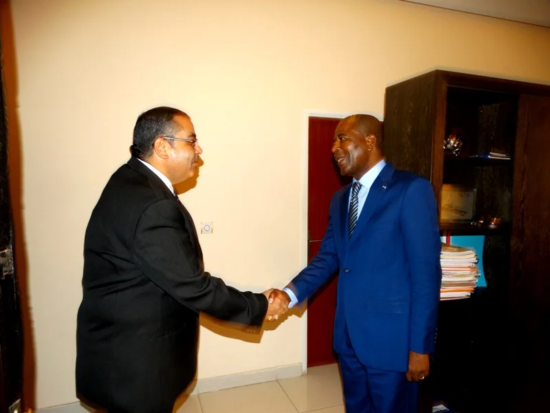 Coopération Egypte-Gabon : Les civilités de S.E : Hisham Fathy Mostafa à Mathias Otounga Ossibadjouo